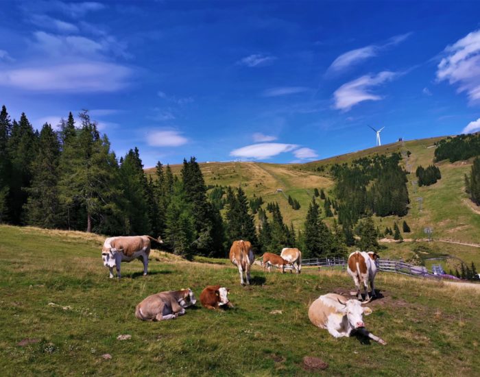 IMG_20190817_150144-min