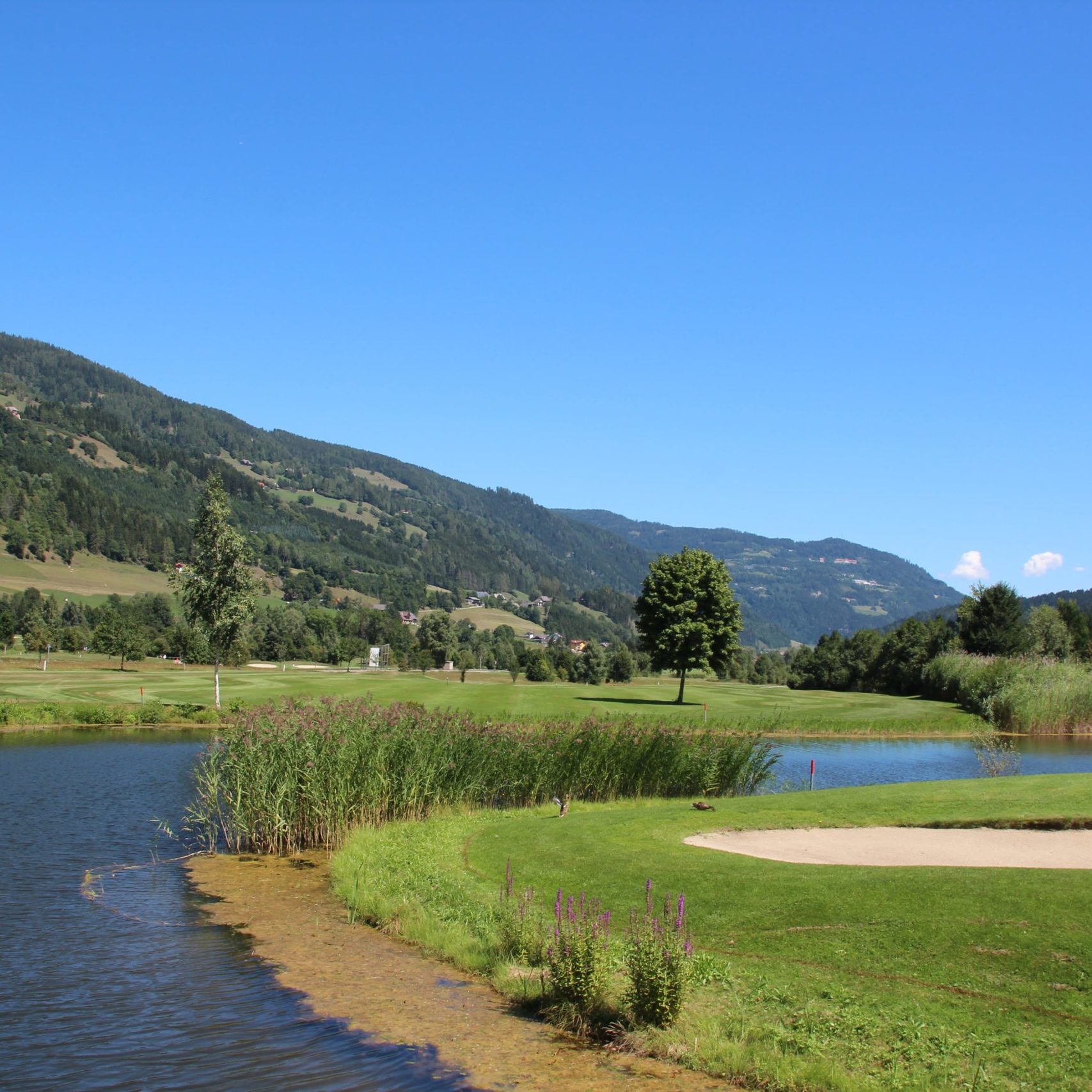 Golfen Berghütte Murmele