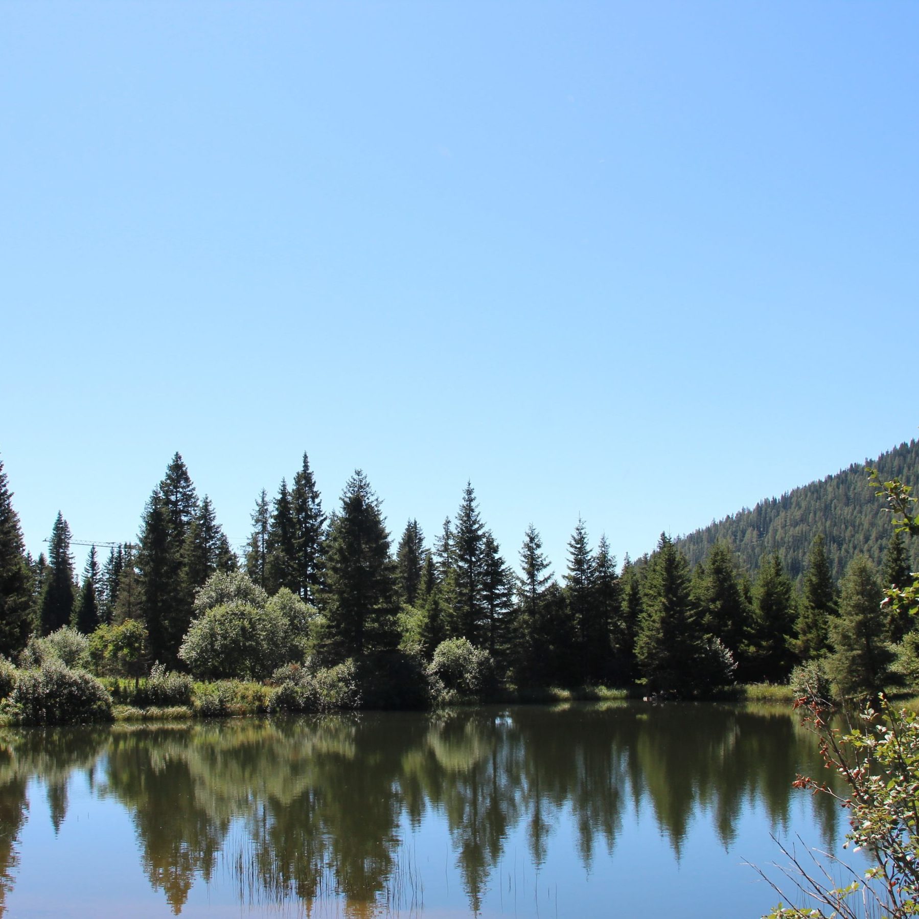 Berghütte Österreich mieten Lachtal
